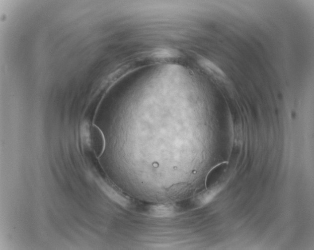 X0000066090238200603171103