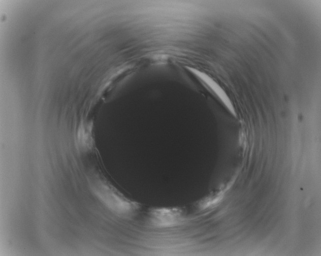 X0000066090239200603171103