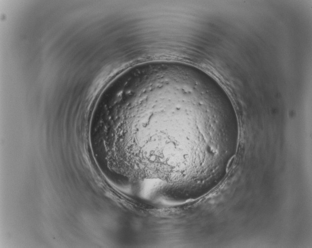 X0000066090241200603171102