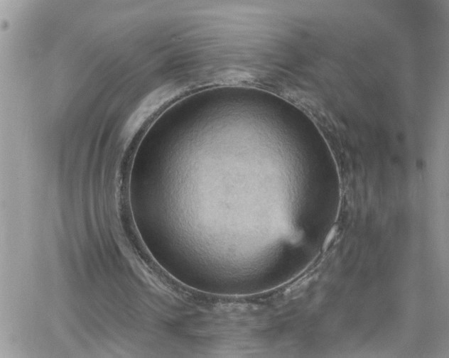 X0000066090242200603171102