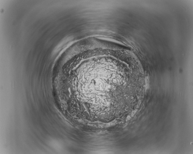 X0000066090243200603171102