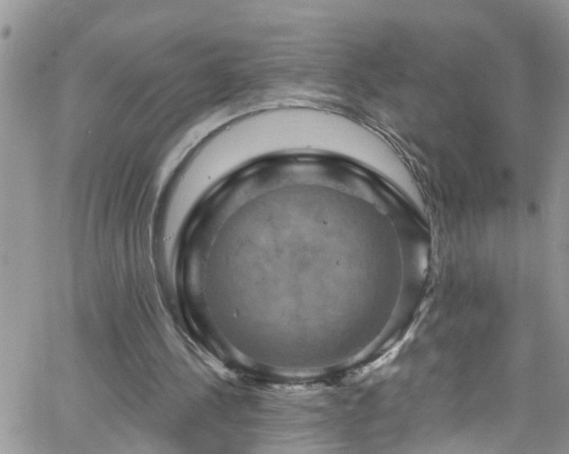 X0000066090244200603171102