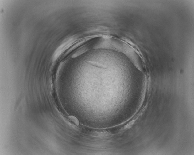 X0000066090245200603171102