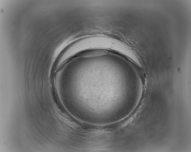 X0000066090246200603171102