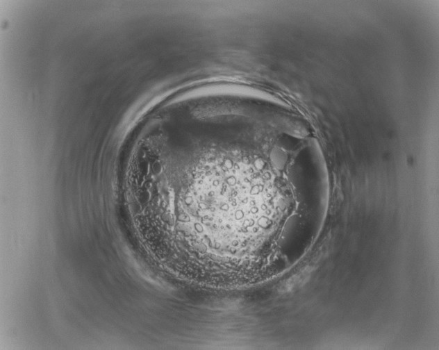 X0000066090247200603171102