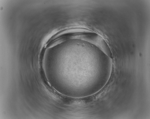 X0000066090248200603171102