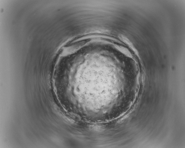 X0000066090249200603171102