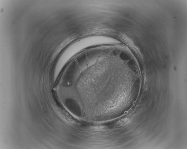 X0000066090250200603171102