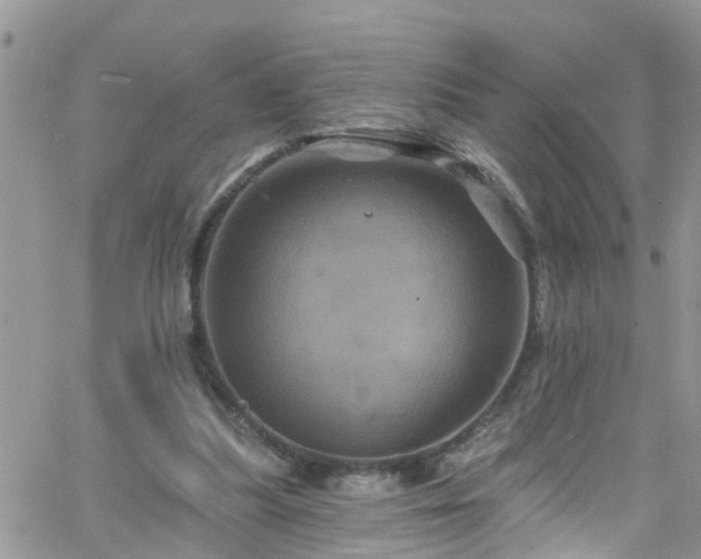 X0000066090251200603171102