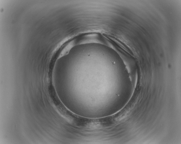 X0000066090252200603171102