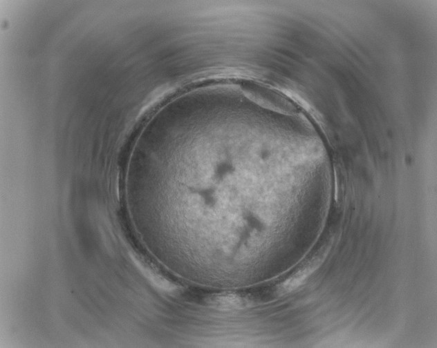 X0000066090253200603171102