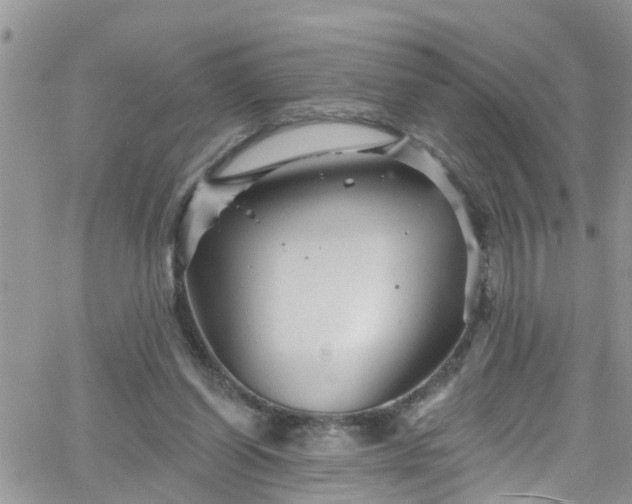 X0000066090254200603171102