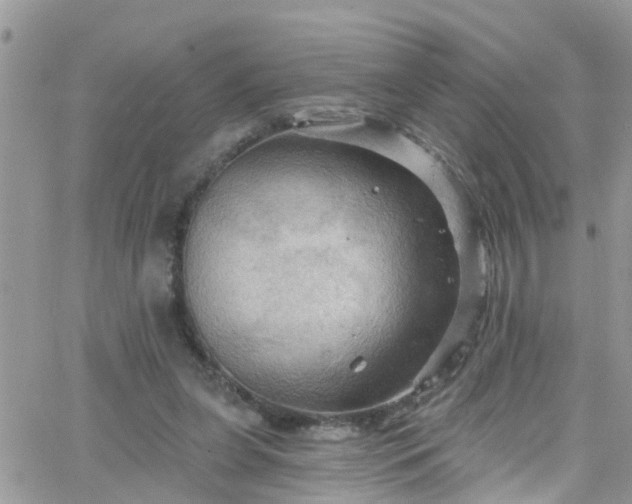 X0000066090255200603171103