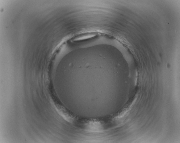 X0000066090256200603171103