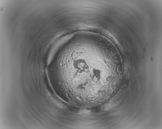 X0000066090257200603171103