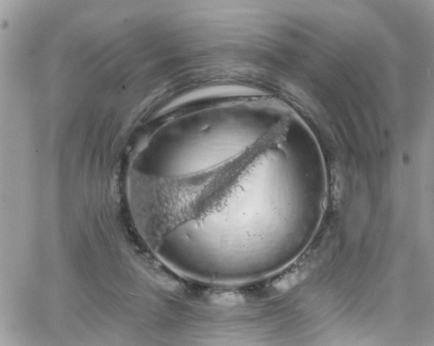 X0000066090258200603171103