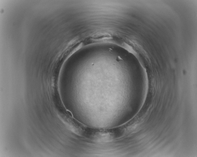 X0000066090260200603171103