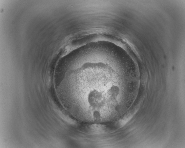 X0000066090261200603171103