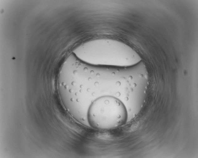 X0000066090262200603171103