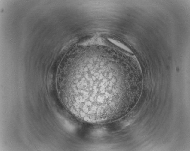 X0000066090263200603171103