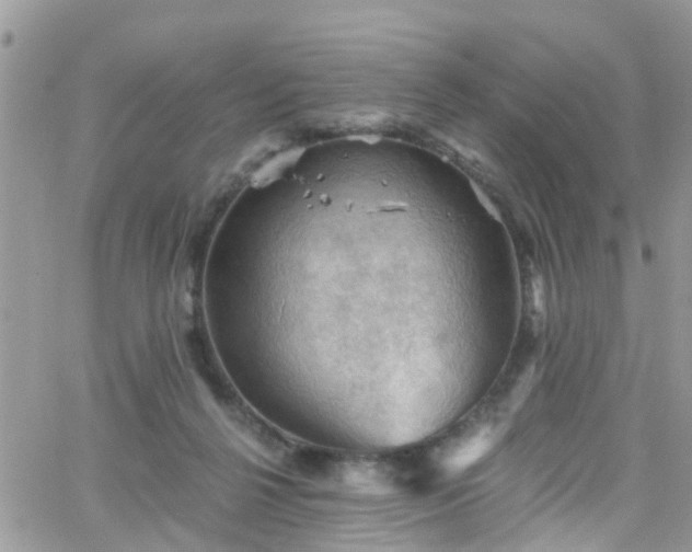 X0000066090264200603171103