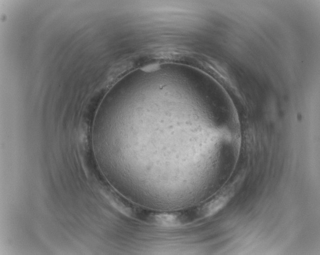 X0000066090265200603171103