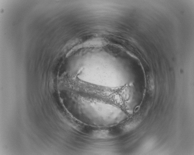 X0000066090266200603171103