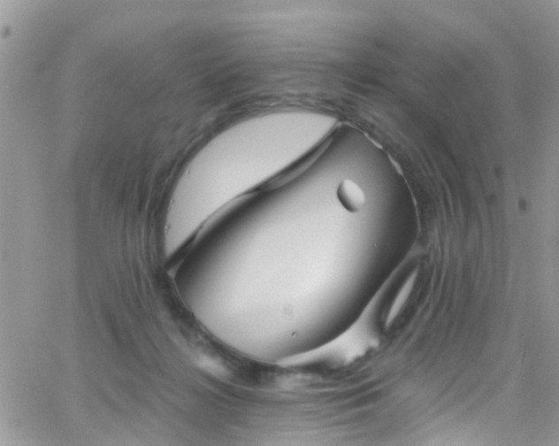 X0000066090268200603171103