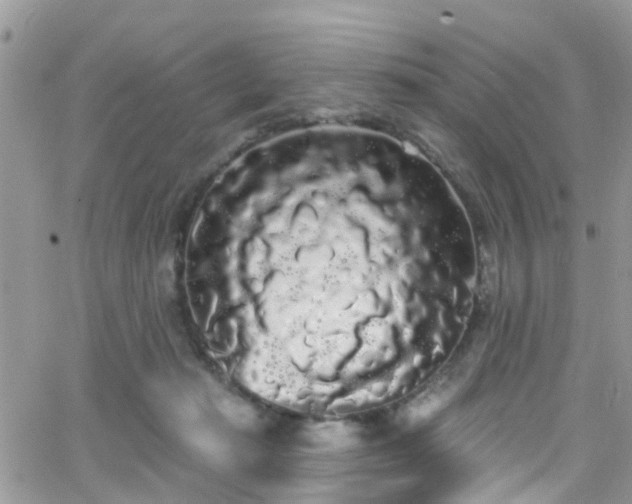 X0000066090269200603171103