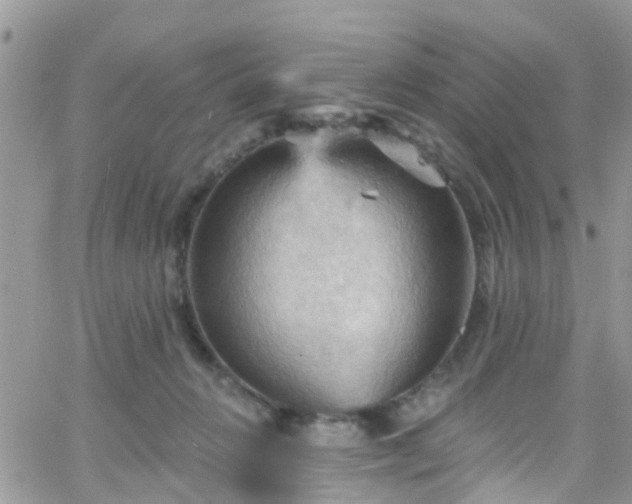 X0000066090270200603171103