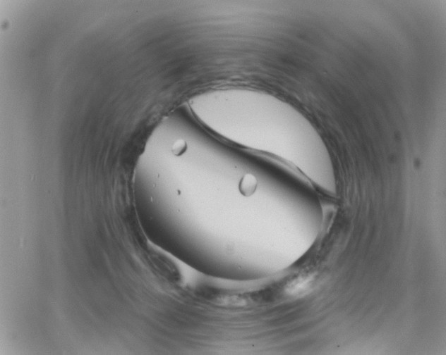 X0000066090272200603171103