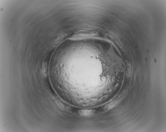 X0000066090273200603171103