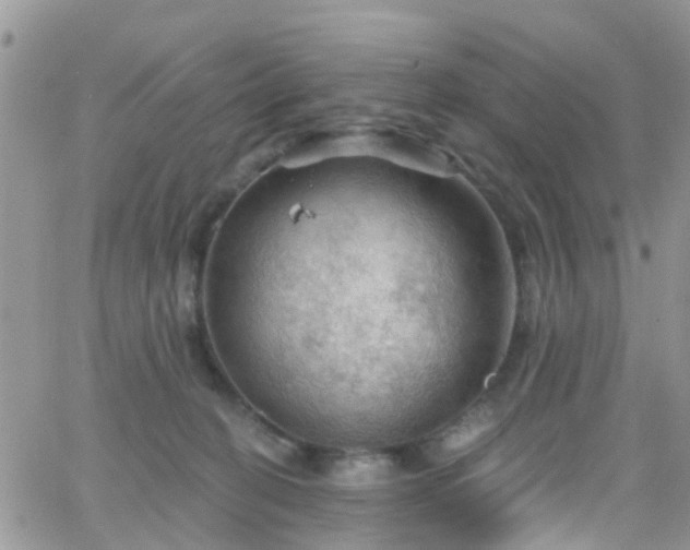 X0000066090274200603171103