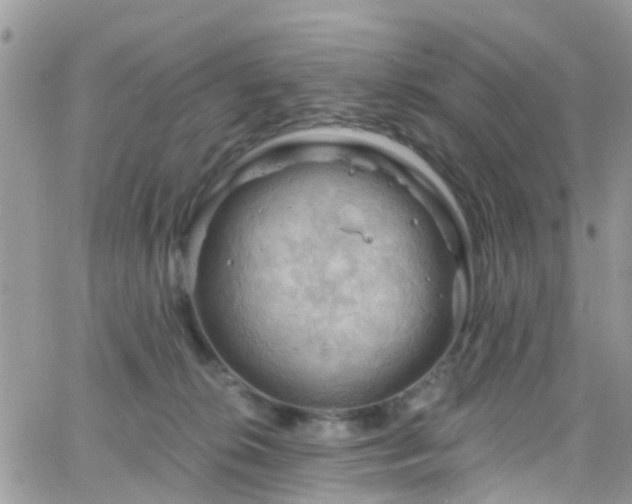 X0000066090276200603171103