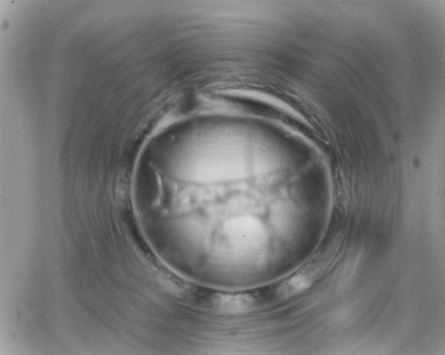 X0000066090277200603171103