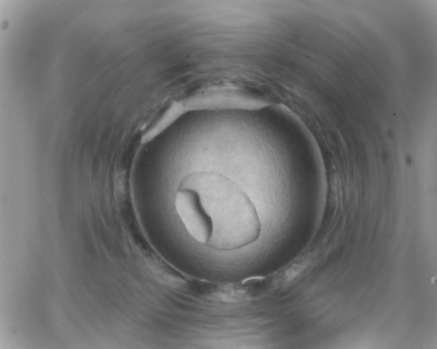 X0000066090278200603171103