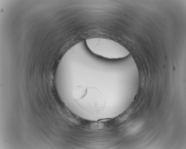 X0000066090279200603171103