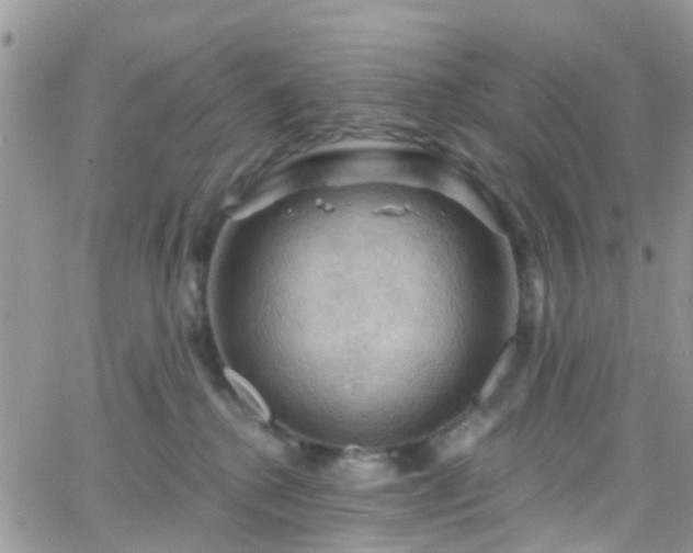 X0000066090280200603171103