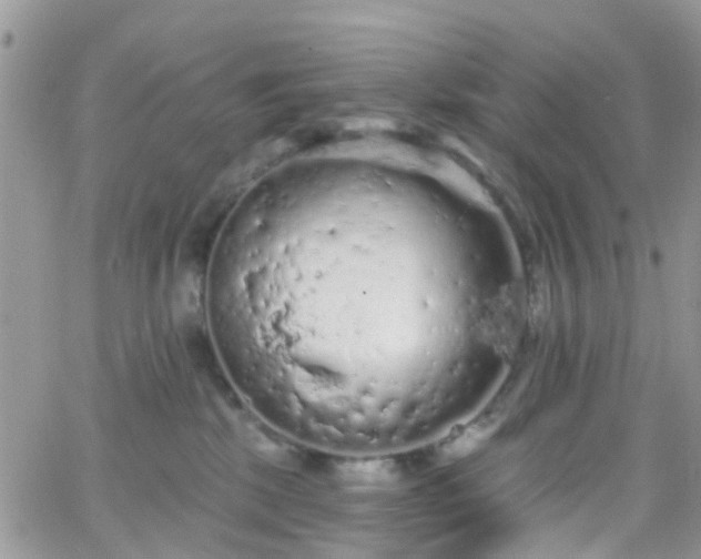 X0000066090281200603171103