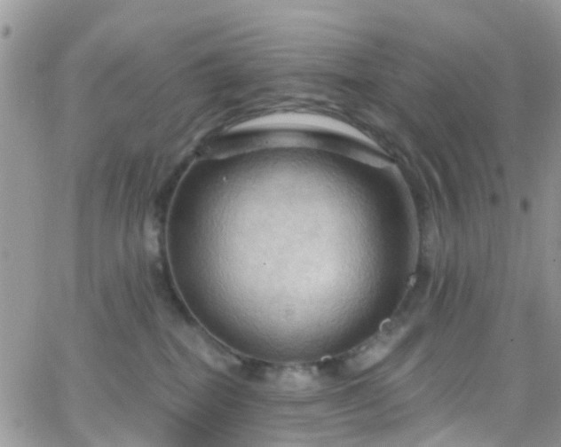 X0000066090282200603171103