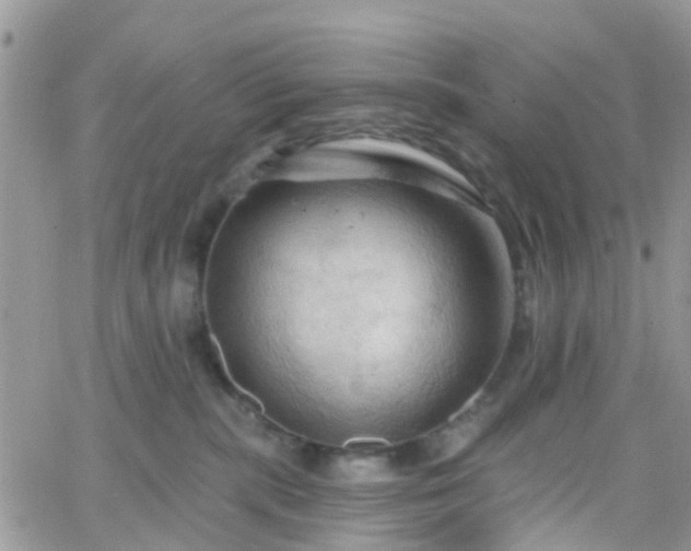 X0000066090283200603171103