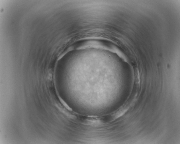 X0000066090284200603171103