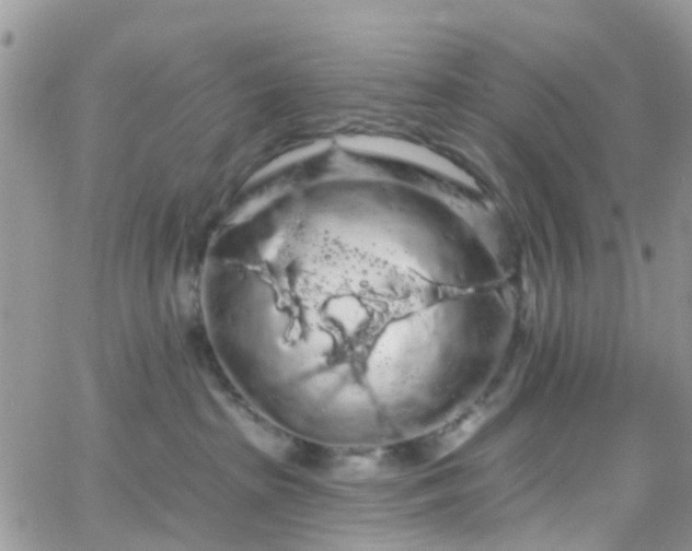 X0000066090285200603171103