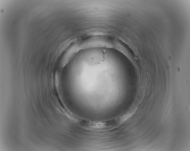 X0000066090288200603171103