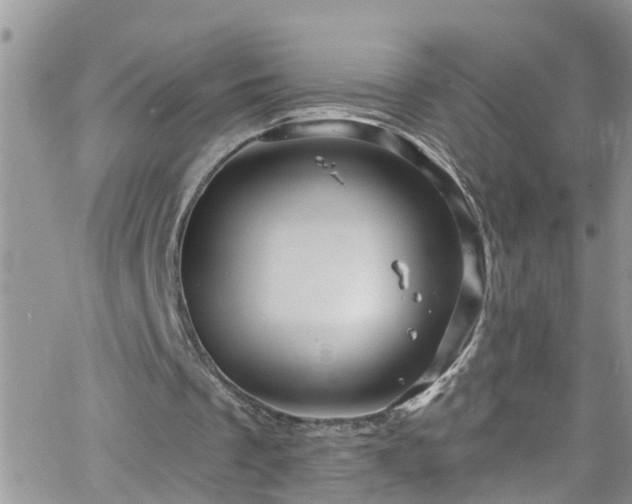 X0000066090289200603171102