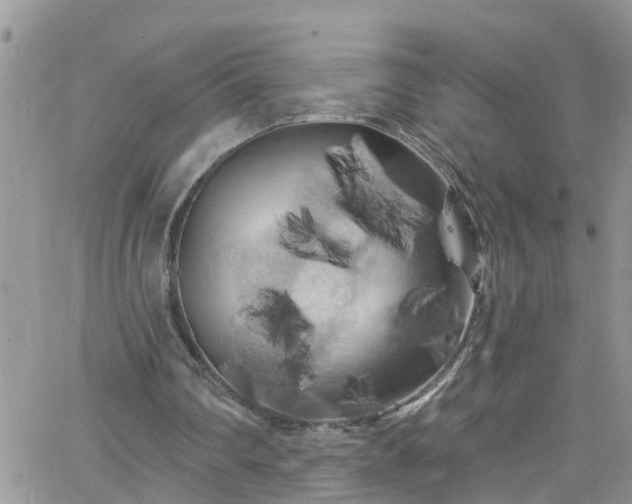 X0000066090290200603171102