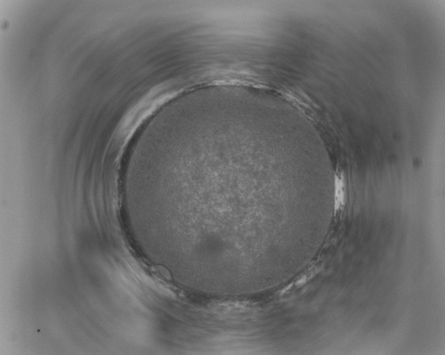 X0000066090291200603171102