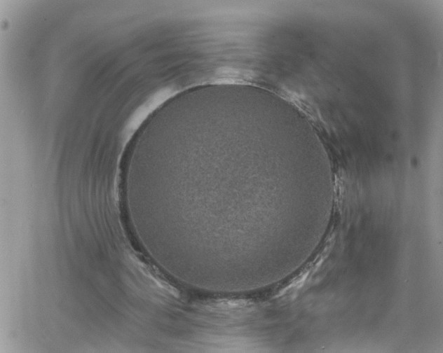 X0000066090292200603171102