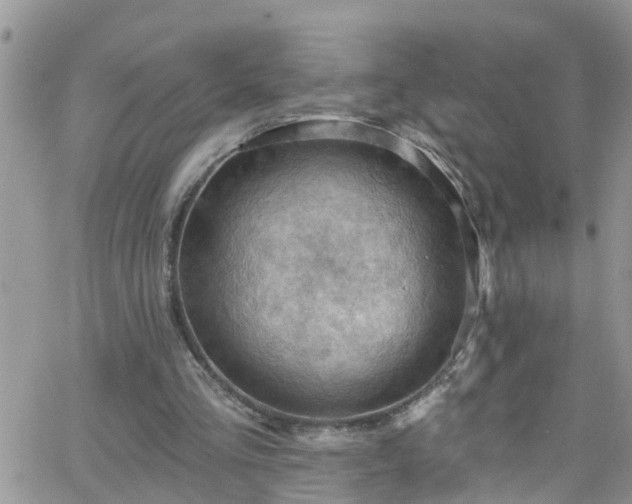 X0000066090293200603171102