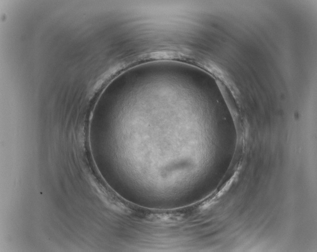 X0000066090297200603171102